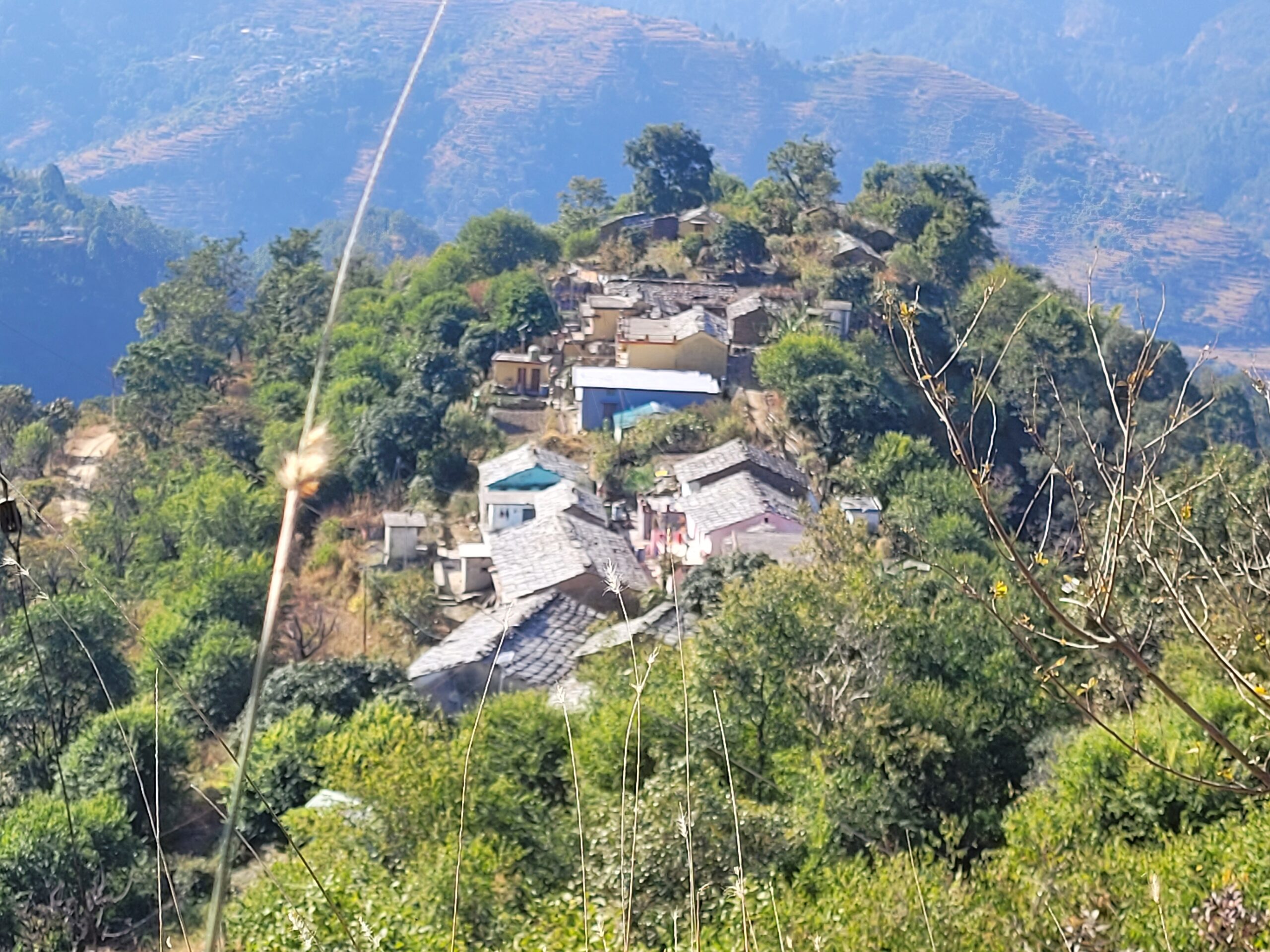 बिजली विभाग की लापरवाही