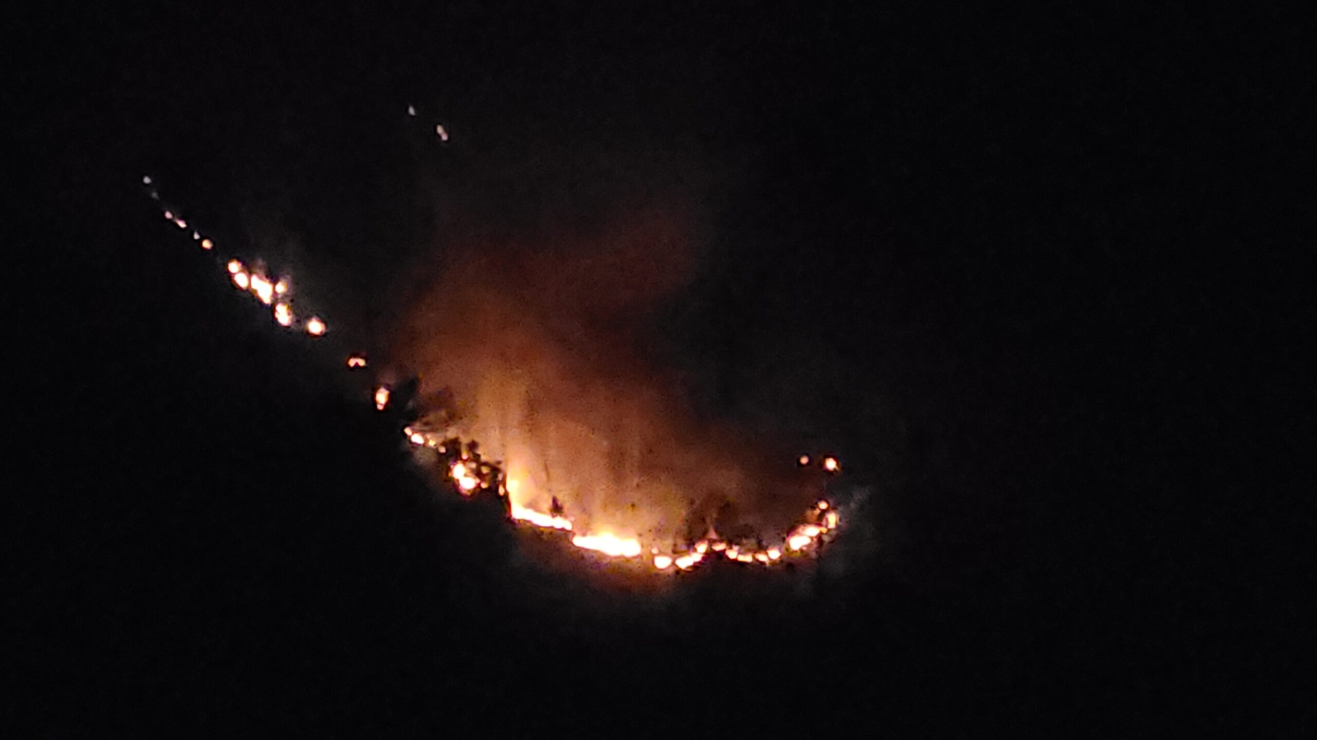 सर्दी में भी धधक रहे हैं उत्तराखंड के जंगल