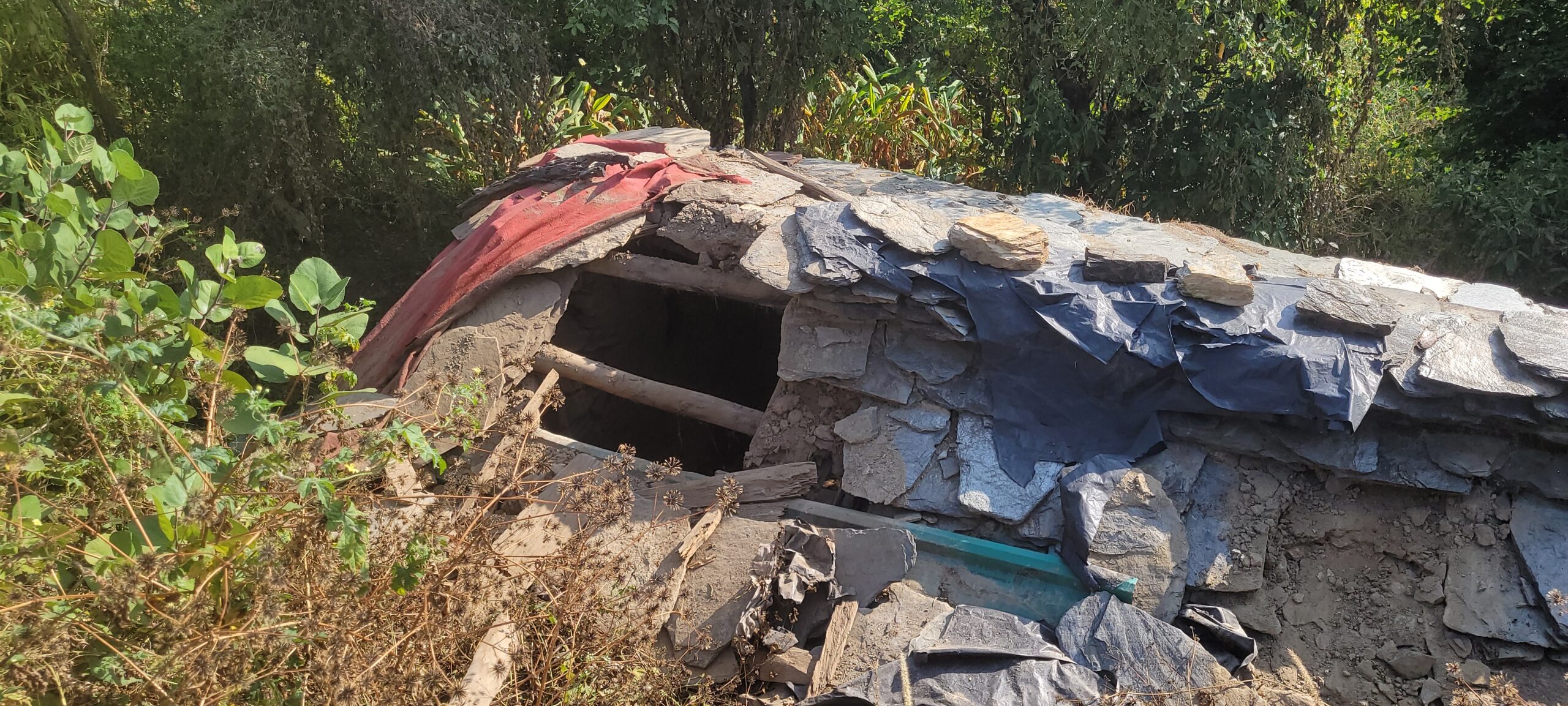 डबरालस्यूं पट्टी में फिर से रहस्यमई जानवर (चरक) सक्रिय।  गोशाला उजाड़कर पालतू पशुओं को उठाकर ले जा रहा है