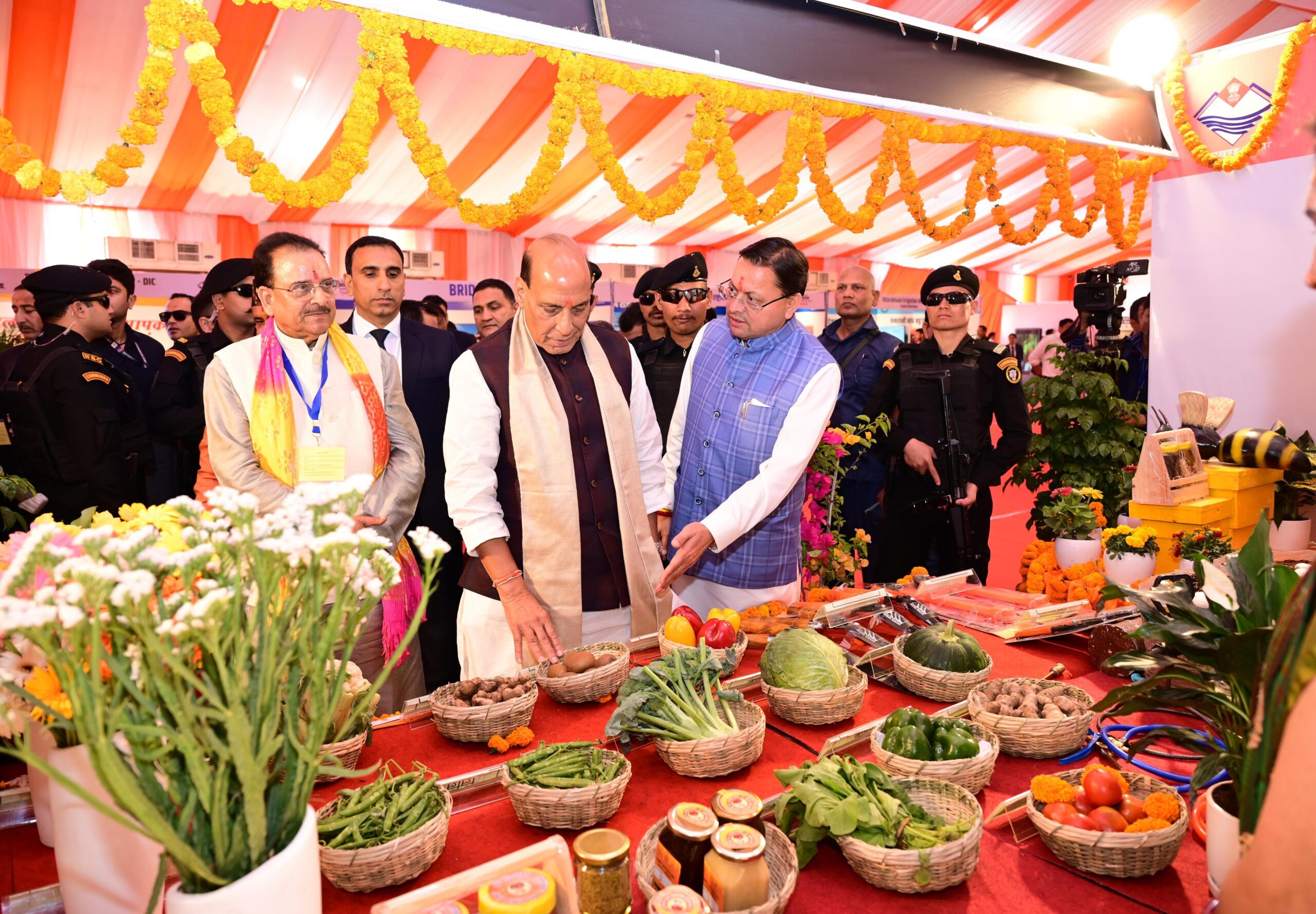 धामी बने ‘धुरंधर’, उत्तराखंड विकास की राह पर अग्रसर: राजनाथ सिंह*  *धामी सरकार के फैसले बने मिसाल, विकास को मिली रफ्तार*